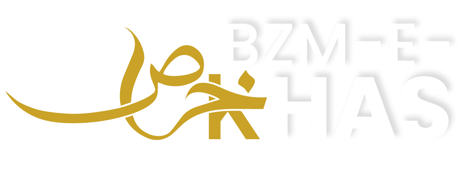 BZM KHAAS LOGO DESIGN